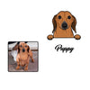 Retrato de tu mascota estilo "mi mascota en el bolsillo" impreso en camiseta 100% algodón premium para hombre o mujer 🐶
