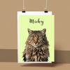 BrowserPreview_tmp_02